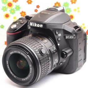 ニコン Nikon D5300☆WIFI機能付♪☆高性能一眼レフ☆自撮り可