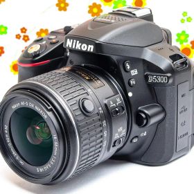 美品 ニコン Nikon D5300☆WIFI機能付♪☆高性能一眼レフ☆自撮り可