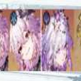 憂斗~専門店！崩壊スターレイル(崩スタ)初期垢！長夜月1凸+キャストリス+金の伴星🍒 初心者ガチャ | 崩壊スターレイル(崩スタ)のアカウントデータ、RMTの販売・買取一覧