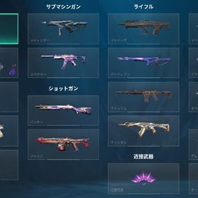ファーストオーナー人気スキン多数 アカウント | VALORANT(ヴァロラント)のアカウントデータ、RMTの販売・買取一覧