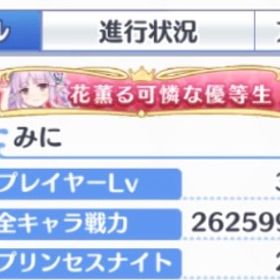 引退アカウント | プリンセスコネクト(プリコネR)のアカウントデータ、RMTの販売・買取一覧