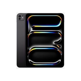 【未使用】Apple 【Wi-Fi】 11インチ iPad Pro（M4/2024） 2TB スペースブラック 標準ガラス MVVG3J/A【福岡筑紫】保証期間６ヶ月