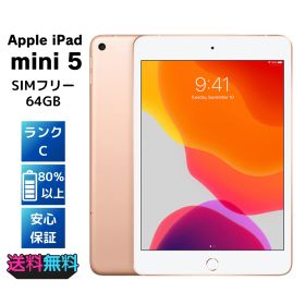 SIMフリー Apple iPad mini 第5世代 64GB ゴールド ACアダプターとケーブル付き