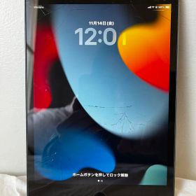 iPad mini 5 第五世代 セルラーモデル256GB ジャンクSIMフリー