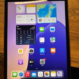 Apple iPad mini (第５世代) Wi-Fi64GB スペースグレイ