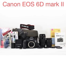 デジタル一眼レフカメラ Canon EOS 6D Mark II