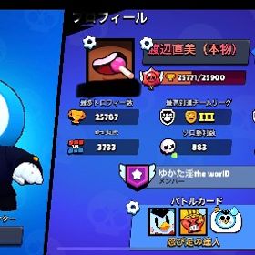 ブロスタ引退垢 スキン17種あり 価格変更可能