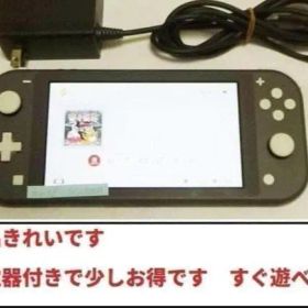動作OK Nintendo Switch Lite グレー 本体 充電器付き