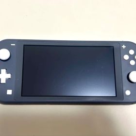 Nintendo Switch Lite グレー 本体と充電器