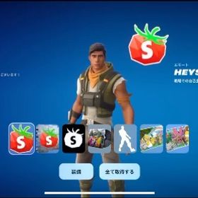 初期メアド譲渡可能！ヘイスタン導入済み初期垢 | フォートナイト(Fortnite)のアカウントデータ、RMTの販売・買取一覧