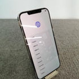 IPHONE12 PROMAX MGD43J/A APPLE