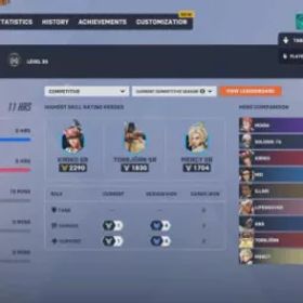 ✅ プラチナ DPS丨プラット サポート