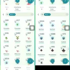 #2076 LV 62 チームなし ( 42 色違い) PTCログイン 3.4m 星の砂