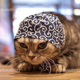 mastifyokose様専用 | VALORANT(ヴァロラント)の代行、RMTの販売・買取一覧