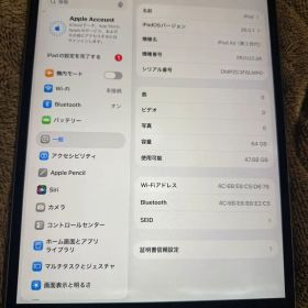 iPad Air 2019年モデル SIMフリー Apple 64GB