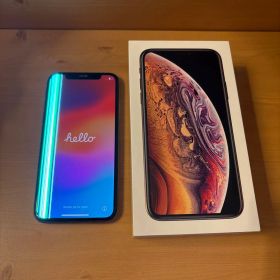 【ジャンク】 Apple iPhone XS Gold 本体 & ケースと付属品