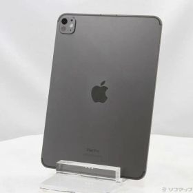〔中古品〕 iPad Pro 11インチ 第5世代 Nano-textureガラス 1TB スペースブラック MWRP3J／A SIMフリー【348】
