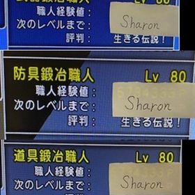 職人産ゴールド 3000万～10億G | ドラクエ10(DQX)のアカウントデータ、RMTの販売・買取一覧