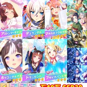 ジュエル100000💎星3キャラ15体⭐️保科健子+トウカイテイオーなどSSR30🌸 | ウマ娘のアカウントデータ、RMTの販売・買取一覧