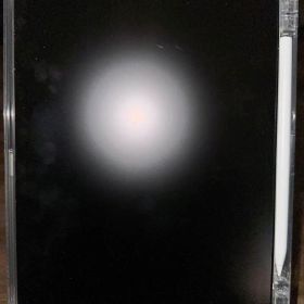 Apple iPad Pro 11インチ 第4世代 M2シルバー 本体 その他