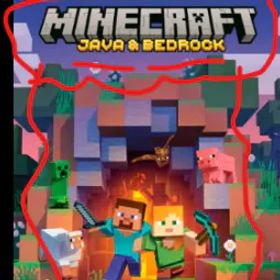 Minecraft ✅ Java と Bedrock