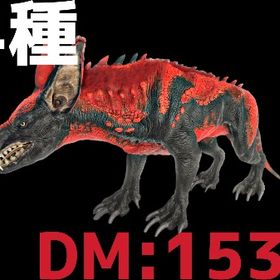 RARE SUPPORT 攻撃特化ラベジャー全4種11/16 | ARK Survival Evolvedのアカウントデータ、RMTの販売・買取一覧