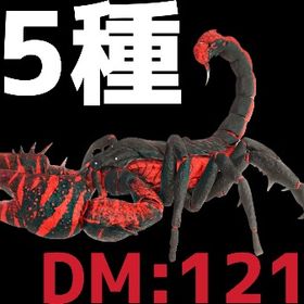 RARE SUPPORT プルモノスコルピウス全5種 | ARK Survival Evolvedのアカウントデータ、RMTの販売・買取一覧