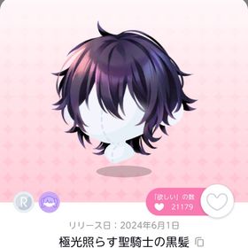 極光照らす聖騎士の黒髪 | ポケコロツイン(ポケツイ)のアカウントデータ、RMTの販売・買取一覧