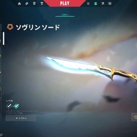 サブアカウント運用 人気スキンあり | VALORANT(ヴァロラント)のアカウントデータ、RMTの販売・買取一覧