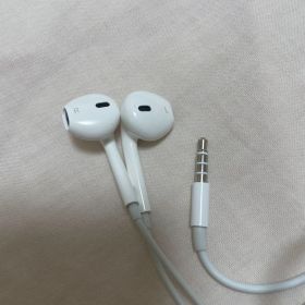 EarPods（3.5 mmヘッドフォンプラグ）とLightning変換アダプタ