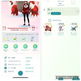 ニさん専用 | ポケモンGOのアカウントデータ、RMTの販売・買取一覧