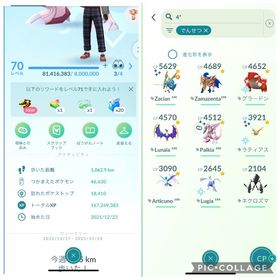 ニさん専用 | ポケモンGOのアカウントデータ、RMTの販売・買取一覧