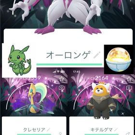 kazukiさん専用商品 | ポケモンGOのアカウントデータ、RMTの販売・買取一覧