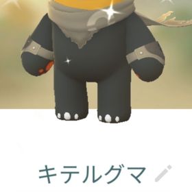 色違いキテルグマ マント トレード | ポケモンGOのアカウントデータ、RMTの販売・買取一覧
