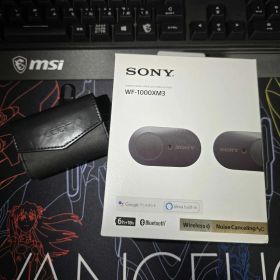SONY WF-1000XM3 ワイヤレス イヤホン