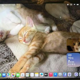 最終値下げMacBook Air A2337 2020 M1/8GB/256GB