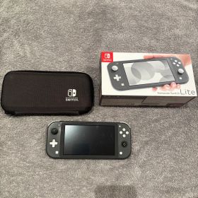 Nintendo Switch Lite グレー 本体 【ジャンク】ケース付き
