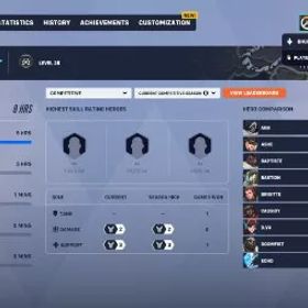 ✅ シルバー サポート丨シルバー ダメージ