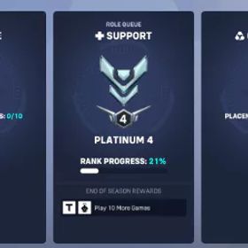 ⭐ プラチナ サポート