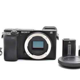SONY a6400 ILCE-6400 ソニー ミラーレス 一眼カメラ シャッター回数 319回 [極上品] #A