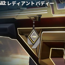 V25 レディアント チャンピオン2025セット | VALORANT(ヴァロラント)のアカウントデータ、RMTの販売・買取一覧