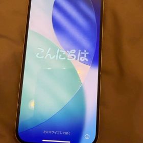 iPhone 15 128GB SIMフリー Apple