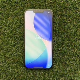 Apple iPhone 13 Pro SIMフリー アルパイングリーン