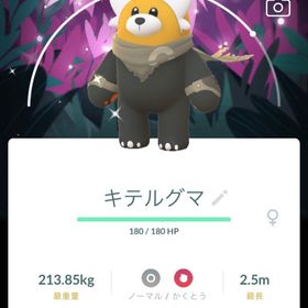🔥✨色違いキテルグマ （グローバル背景）(ポケモンGO)(ポケモンGO) | ポケモンGOのアカウントデータ、RMTの販売・買取一覧