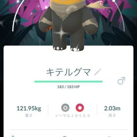 くっきさま専用 | ポケモンGOのアカウントデータ、RMTの販売・買取一覧