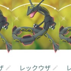 9116【PTC】在庫処分！レックウザ 13匹 内色違い3匹 いんせき1 | ポケモンGOのアカウントデータ、RMTの販売・買取一覧