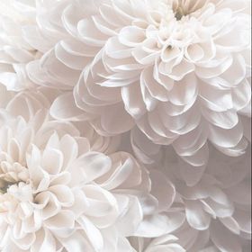 ℳ❥❥様専用ページ | ポケコロのアイテム、RMTの販売・買取一覧