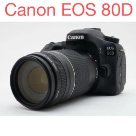 保証付き/デジタル 一眼レフ カメラ Canon EOS 80D望遠レンズセット