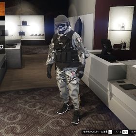 ❤️🔥［PC］❤️🔥総資産20億￤ハロペ解除￤地下研究解除￤ステータスMAX￤足早 | GTA5(GTAオンライン)のアカウントデータ、RMTの販売・買取一覧