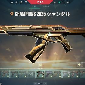 希望スキン販売します！在庫処分 | VALORANT(ヴァロラント)のアカウントデータ、RMTの販売・買取一覧